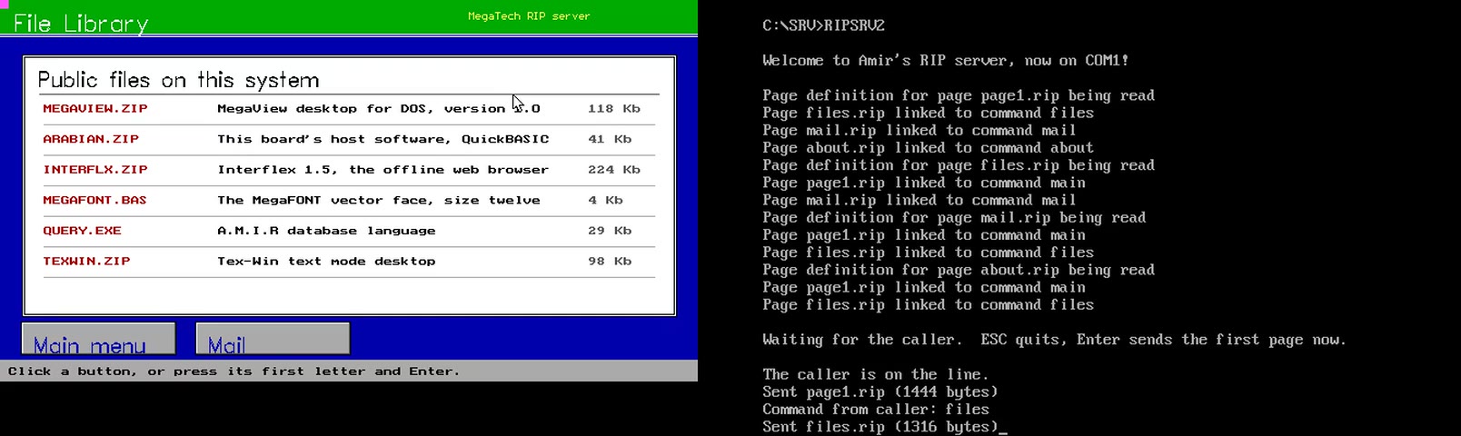 RipServer